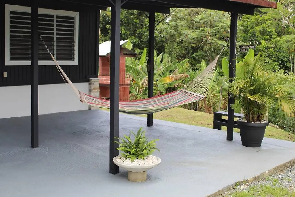 Wepa House Near Gozalandia Villa San Sebastian Puerto Rico